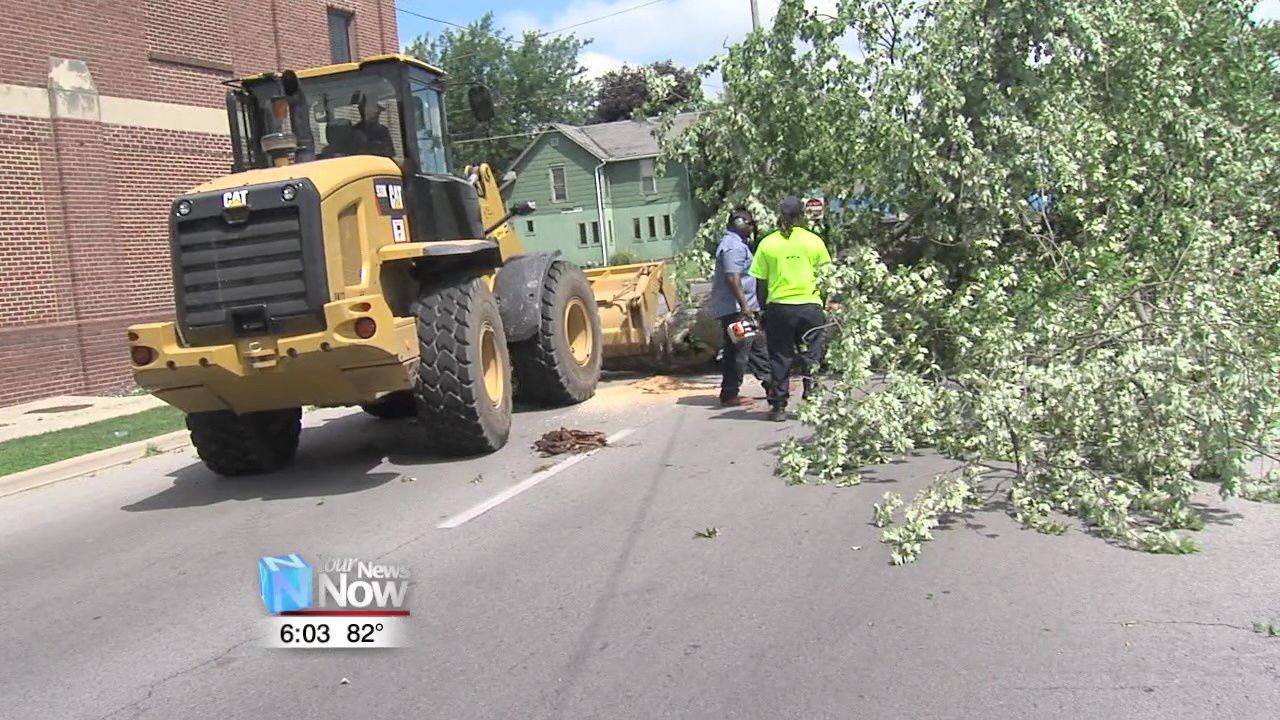 Lima begins tree clean up following Wednesday storm 1.jpg